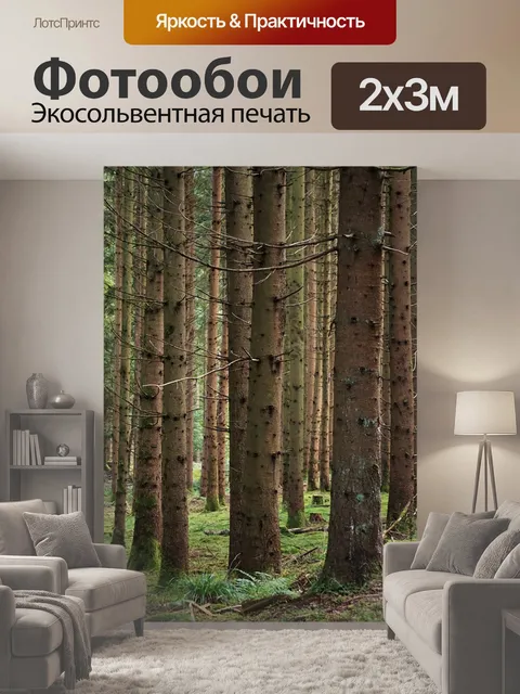 200 × 300 см · Экосольвентная печать