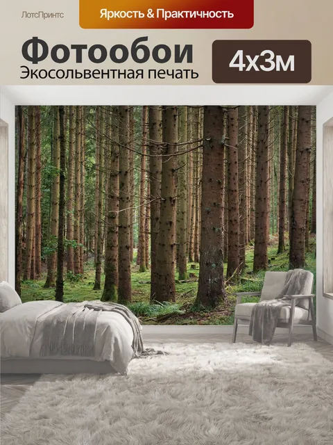 400 × 300 см · Экосольвентная печать