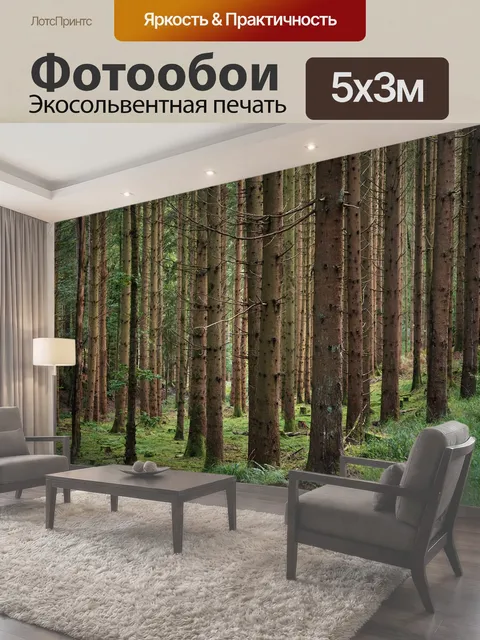 500 × 300 см · Экосольвентная печать