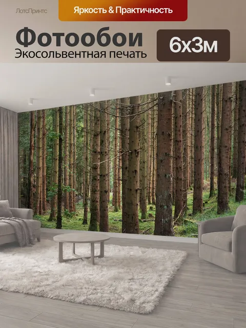 600 × 300 см · Экосольвентная печать