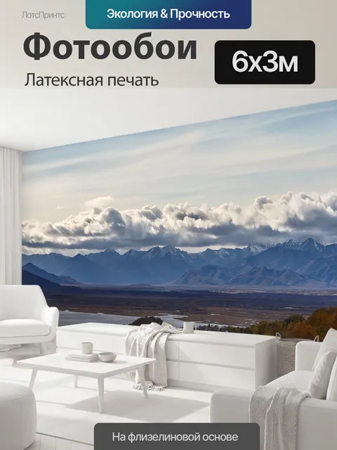 600 × 300 см · Латексная печать