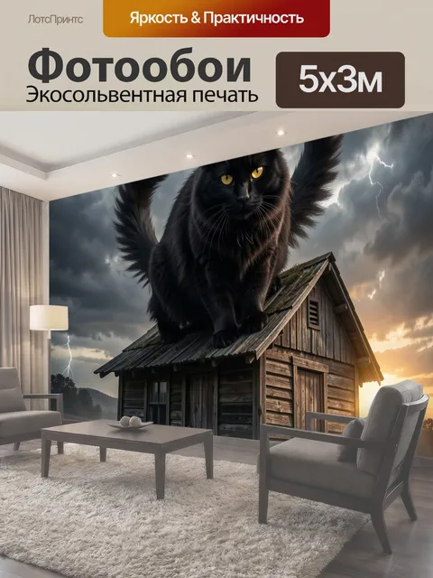 Фотообои Черный кот на крыше сарая