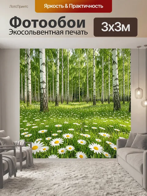 Фотообои Березовая роща с ромашками. Солнечный весенний лес с высокими светлыми стволами и ковром полевых цветов. Ярка…