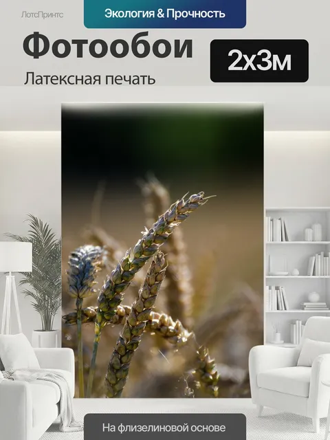 200 × 300 см · Латексная печать