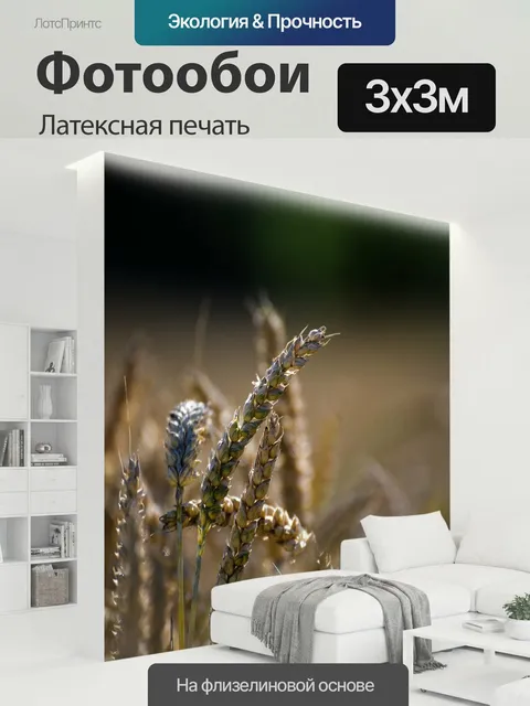 300 × 300 см · Латексная печать