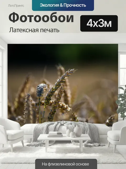 400 × 300 см · Латексная печать