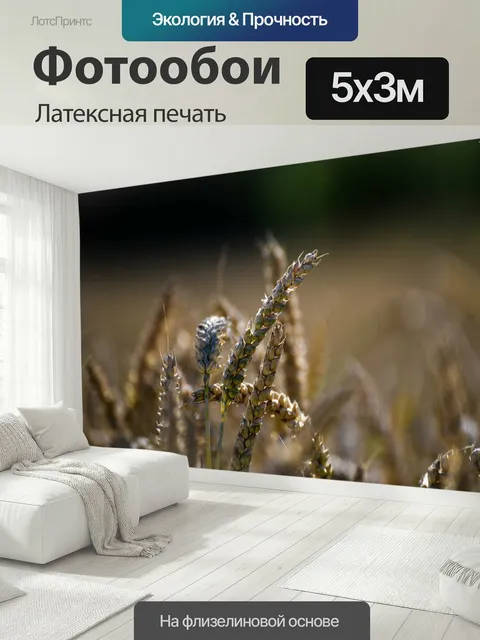 500 × 300 см · Латексная печать