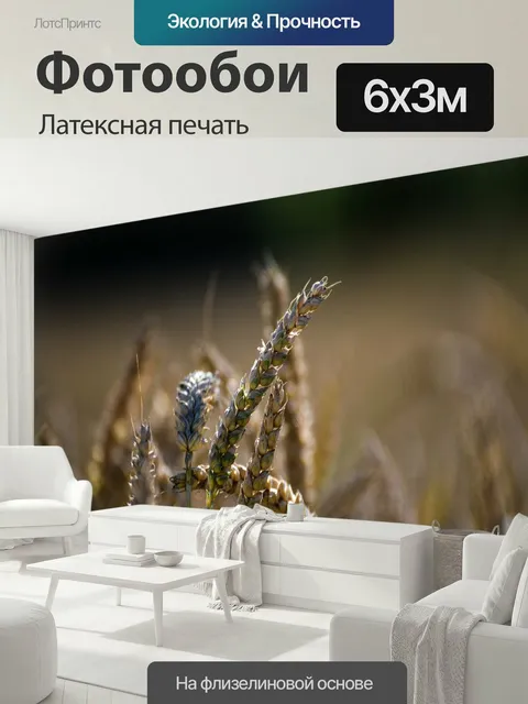 600 × 300 см · Латексная печать