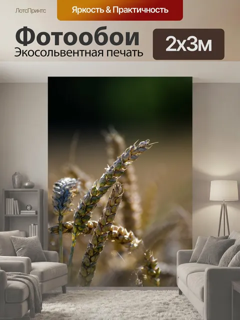 200 × 300 см · Экосольвентная печать