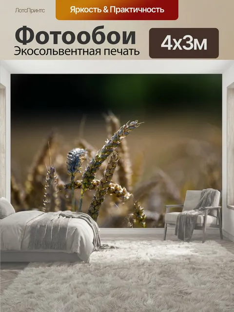 400 × 300 см · Экосольвентная печать