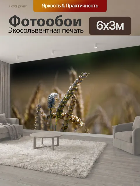 600 × 300 см · Экосольвентная печать