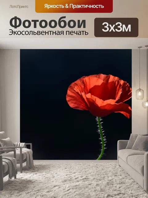Фотообои Мак, цвести, красный мак