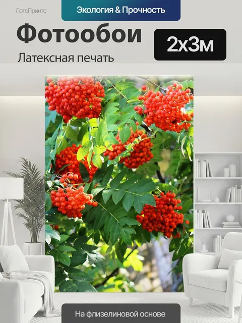 200 × 300 см · Латексная печать