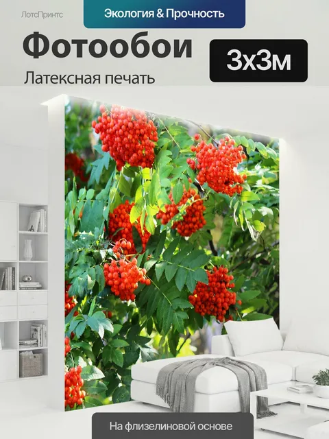 300 × 300 см · Латексная печать