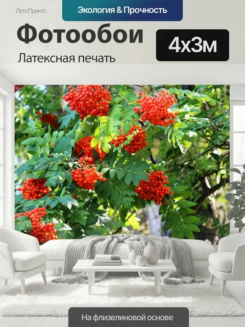 400 × 300 см · Латексная печать