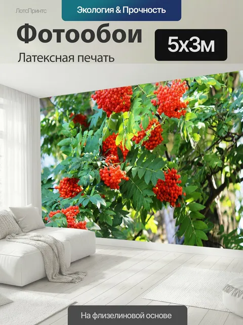 500 × 300 см · Латексная печать