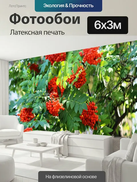 600 × 300 см · Латексная печать