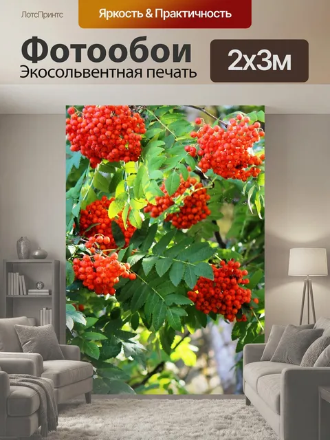 200 × 300 см · Экосольвентная печать
