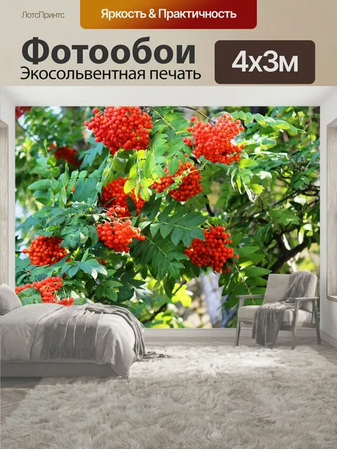 400 × 300 см · Экосольвентная печать