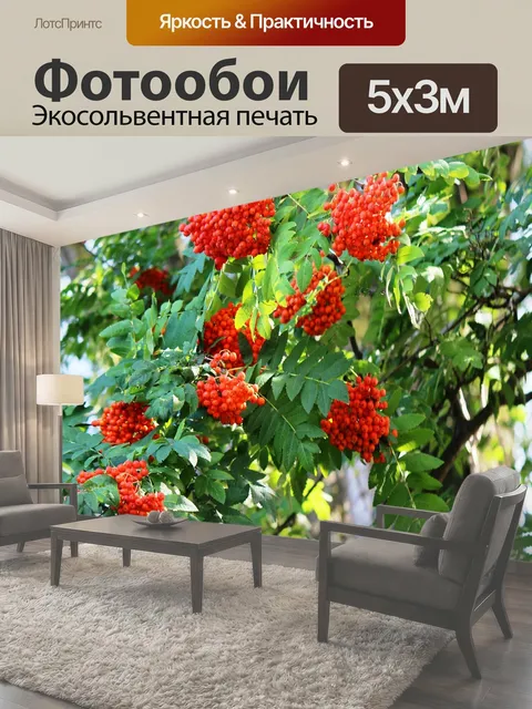 500 × 300 см · Экосольвентная печать