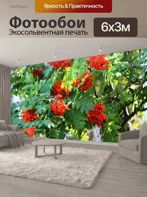 600 × 300 см · Экосольвентная печать