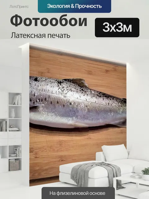 300 × 300 см · Латексная печать