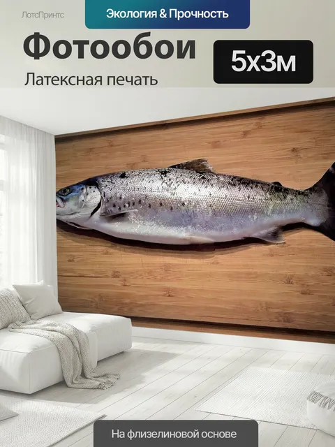 500 × 300 см · Латексная печать
