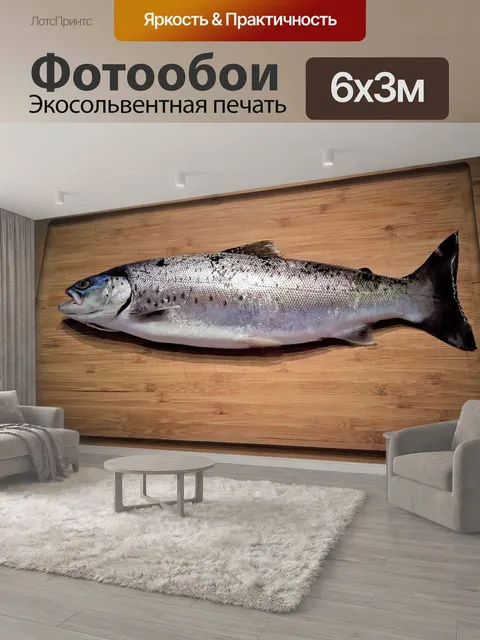 600 × 300 см · Экосольвентная печать