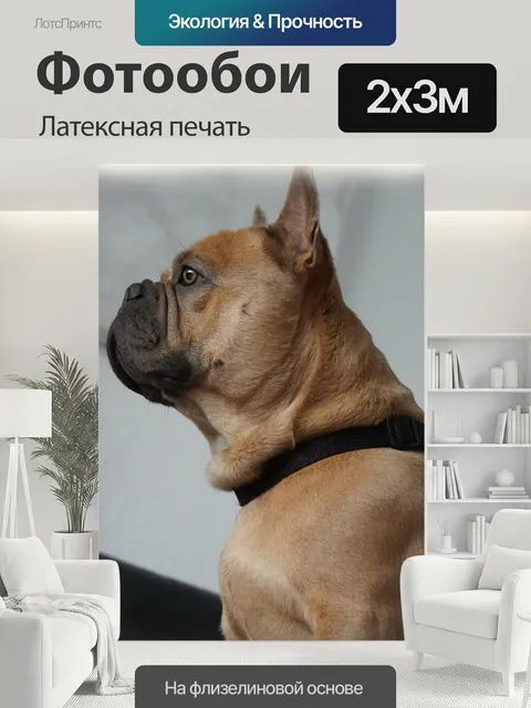 200 × 300 см · Латексная печать