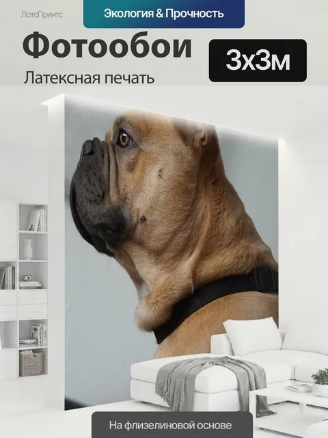 300 × 300 см · Латексная печать