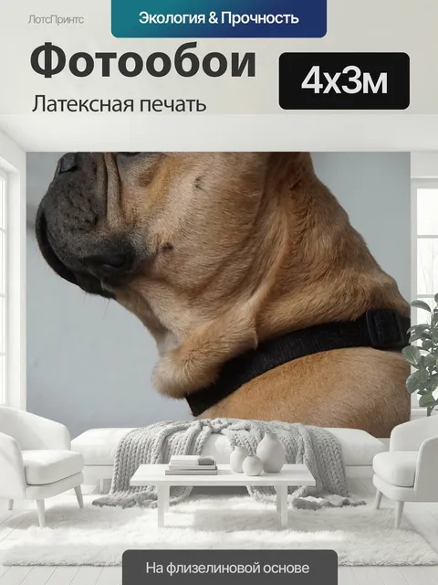 400 × 300 см · Латексная печать