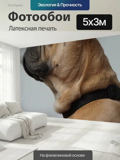 500 × 300 см · Латексная печать