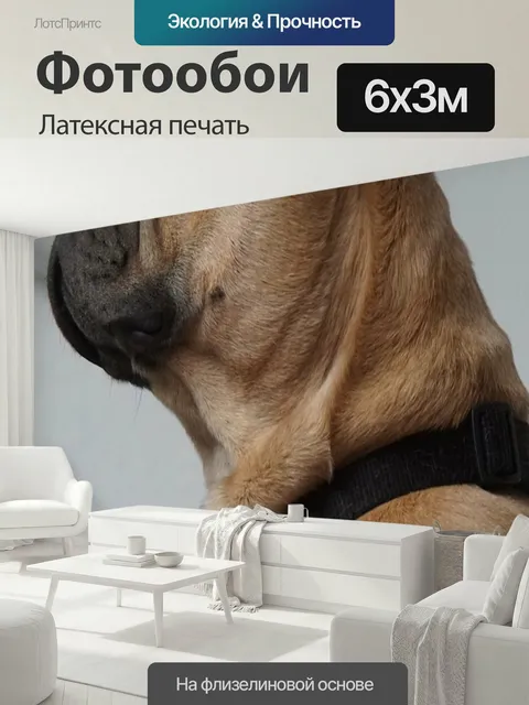 600 × 300 см · Латексная печать
