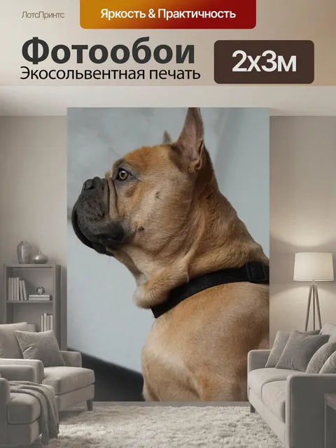 200 × 300 см · Экосольвентная печать