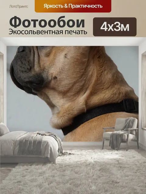 400 × 300 см · Экосольвентная печать