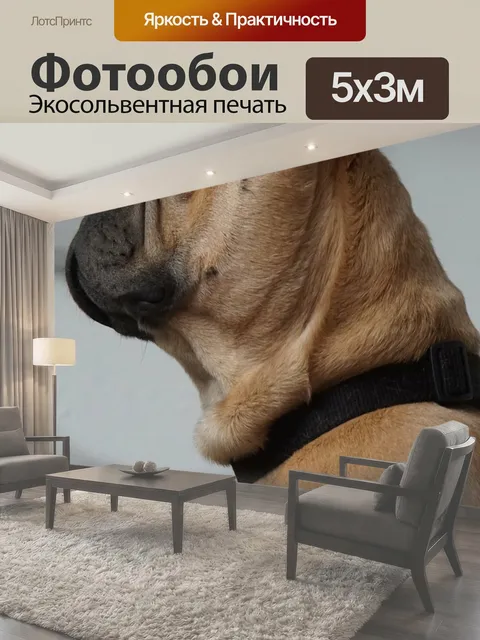 500 × 300 см · Экосольвентная печать