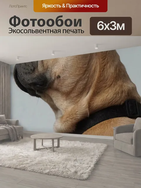 600 × 300 см · Экосольвентная печать