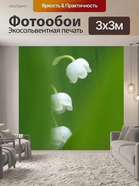 Фотообои Ландыш, цвести, белый