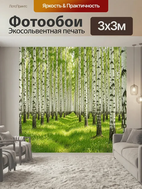 Фотообои Берёзовая роща в солнечный день. Светлый лесной пейзаж с высокими белоствольными деревьями, яркой зелёной тра…