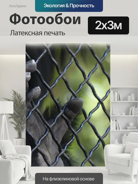 200 × 300 см · Латексная печать