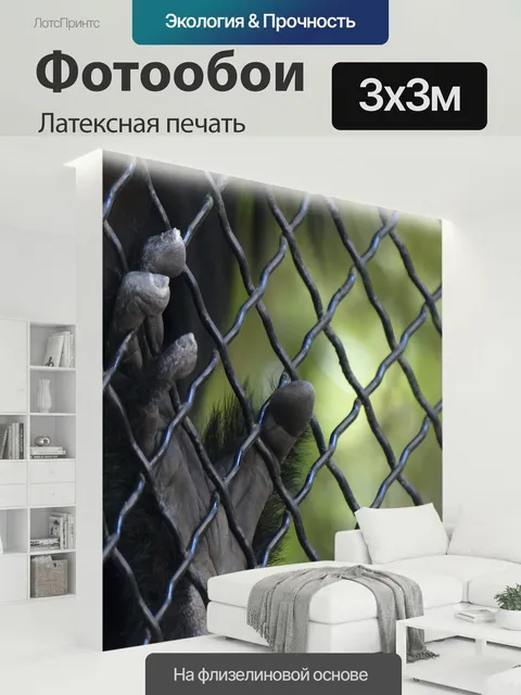 300 × 300 см · Латексная печать