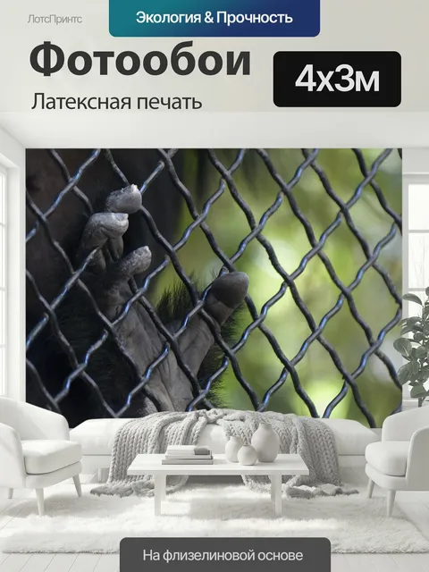 400 × 300 см · Латексная печать