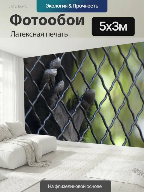 500 × 300 см · Латексная печать