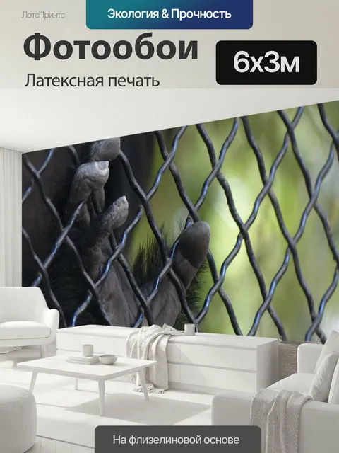 600 × 300 см · Латексная печать