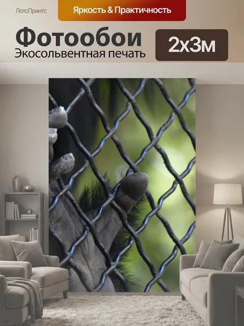 200 × 300 см · Экосольвентная печать