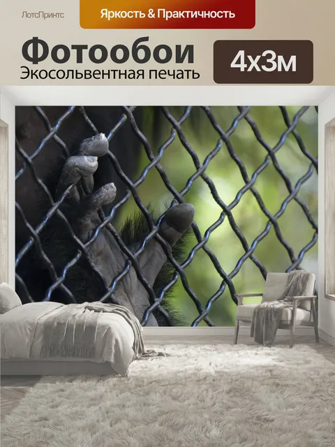 400 × 300 см · Экосольвентная печать