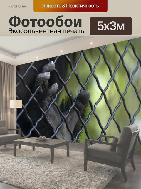 500 × 300 см · Экосольвентная печать