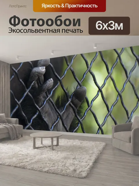 600 × 300 см · Экосольвентная печать