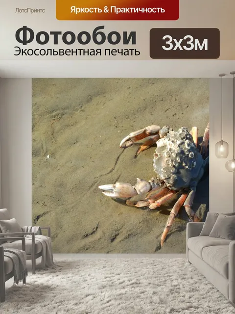 Фотообои Краб, клешни, брачюра