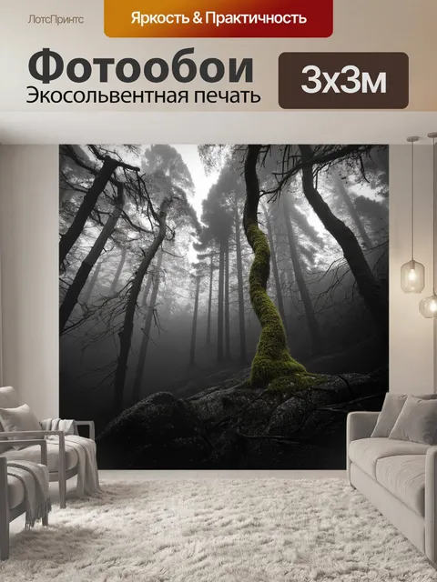 Фотообои Черно-белая фотография леса в тумане, деревья с искривленными ств…